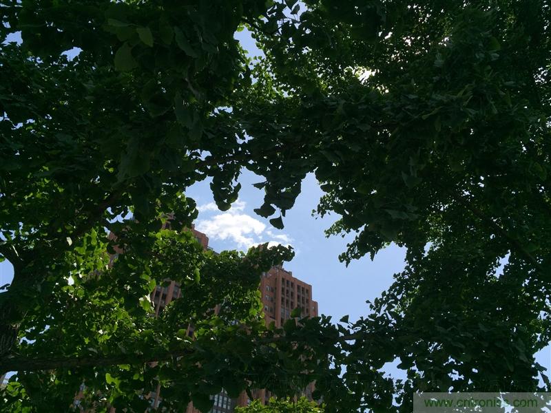 無邊框的 nubia Z9 ，一款既有驚喜，又有驚艷的智能手機(jī)