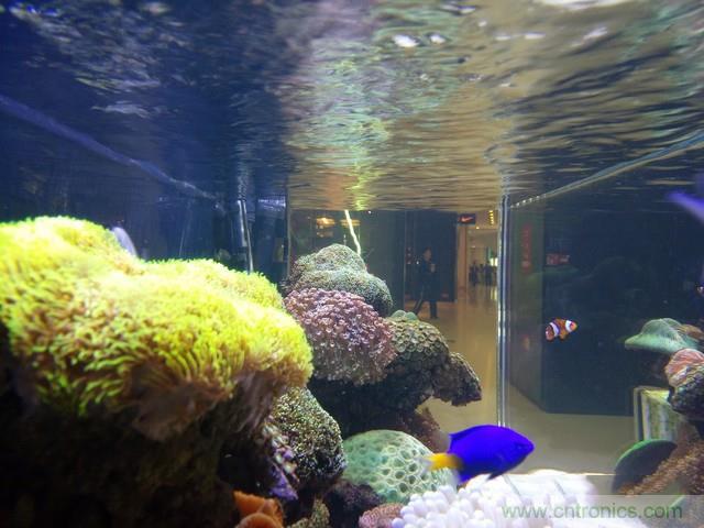 Hi-Fi革命！vivo X6 Plus深度評測：夠快才暢快