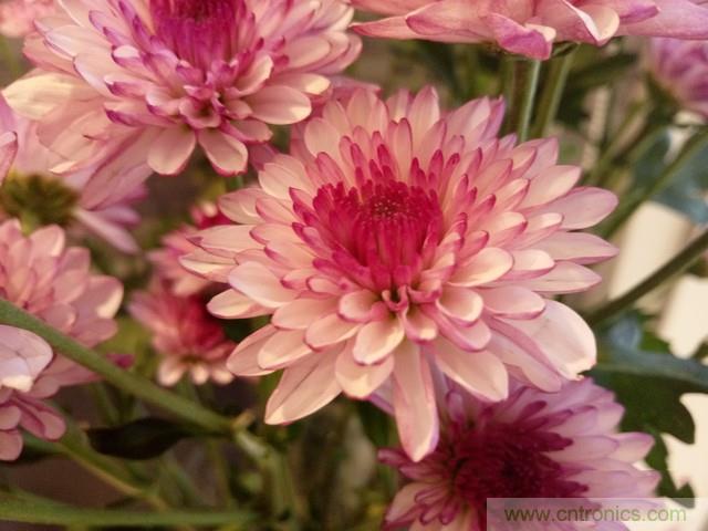 Hi-Fi革命！vivo X6 Plus深度評測：夠快才暢快