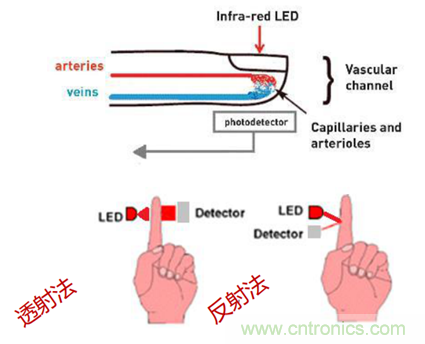 從光學(xué)模塊到系統(tǒng)構(gòu)建來(lái)解決，如何實(shí)現(xiàn)光學(xué)體征信號(hào)監(jiān)測(cè)？