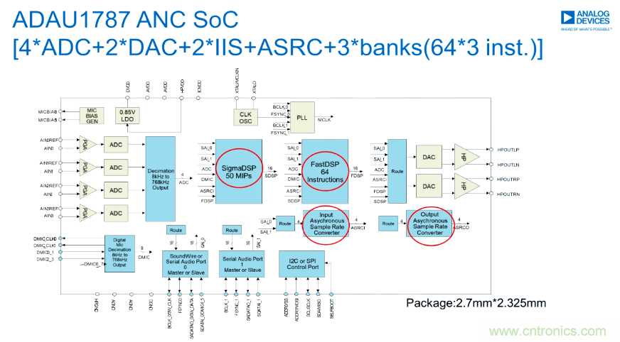 一場(chǎng)&ldquo;爭寵&rdquo;耳朵的競賽，剛剛開始