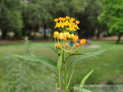 無(wú)數(shù)的拍攝，只為成就一個(gè)完美回憶