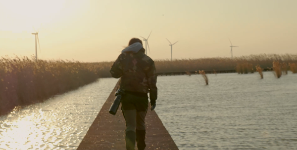 世界濕地日：?？低晹y手一個(gè)地球自然基金會，在上海守護(hù)這個(gè)重要“驛站”