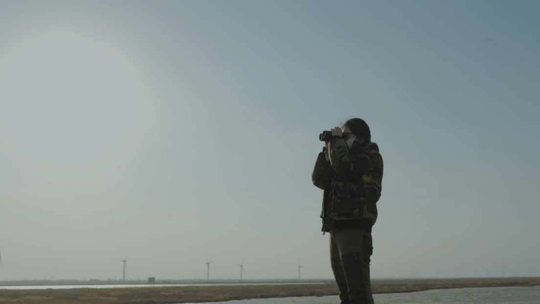 世界濕地日：?？低晹y手一個(gè)地球自然基金會，在上海守護(hù)這個(gè)重要“驛站”