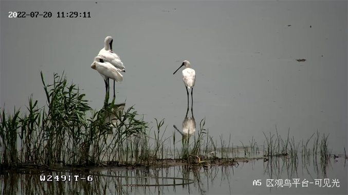 海康威視發(fā)布2022年ESG報(bào)告：科技為善，助力可持續(xù)的美好未來(lái)