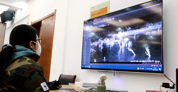 世界濕地日：?？低晹y手一個(gè)地球自然基金會，在上海守護(hù)這個(gè)重要“驛站”