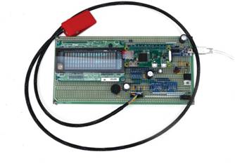 動(dòng)態(tài)離散周期變換技術(shù)突破：無(wú)ECG參考的生理信號(hào)精準(zhǔn)解析