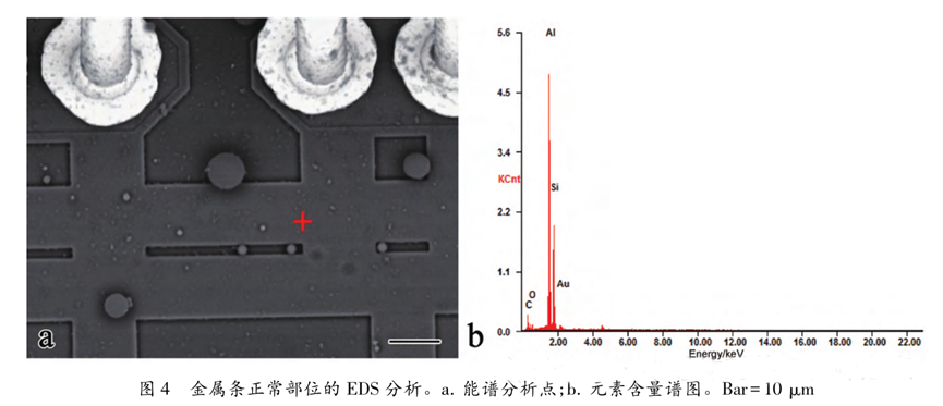 超聲波清洗暗藏"芯片密碼"：二氧化硅顆粒撞擊機(jī)理揭秘