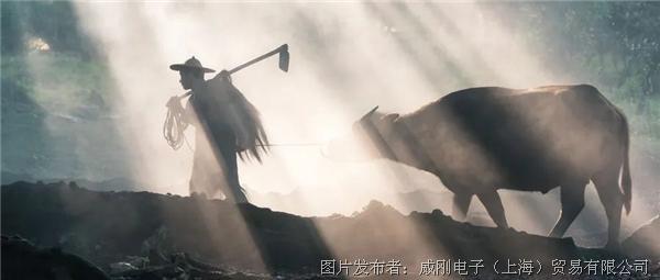 智慧農(nóng)業(yè)大有可為，“數(shù)字種地”更輕松